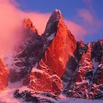 Jonquille Terrasse Centre Mont Blanc * Chamonix
