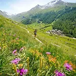 Jonquille Terrasse Centre Mont Blanc