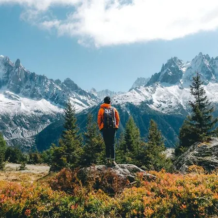 Jonquille Terrasse Centre Mont Blanc Daire Chamonix