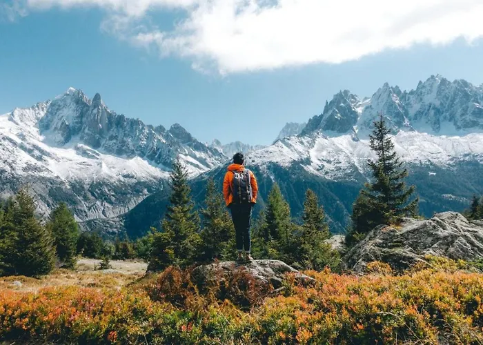 Jonquille Terrasse Centre Mont Blanc Daire Chamonix