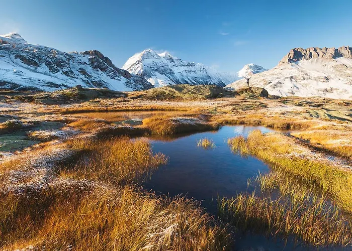 Jonquille Terrasse Centre Mont Blanc Chamonix