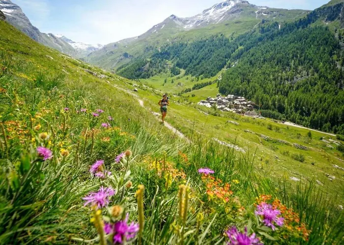 Jonquille Terrasse Centre Mont Blanc