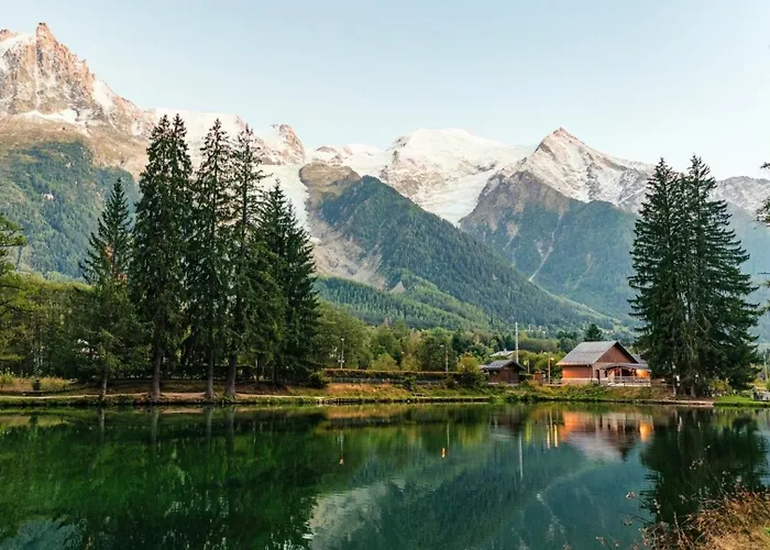 Jonquille Terrasse Centre Mont Blanc