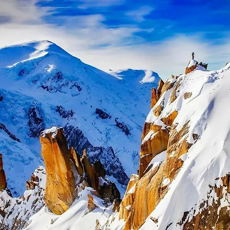 Jonquille Terrasse Centre Mont Blanc Daire *